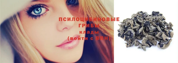 СК Козловка