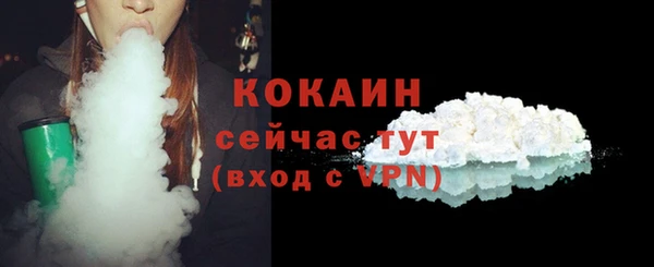 мдпв Кодинск